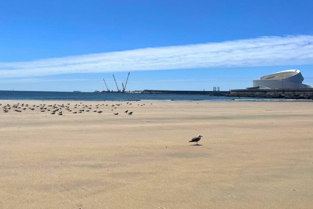 Praia de Matosinhos 