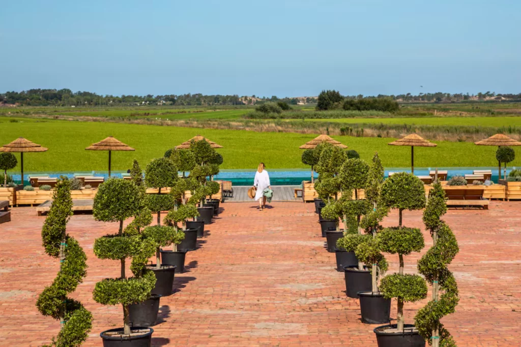 Quinta da Comporta